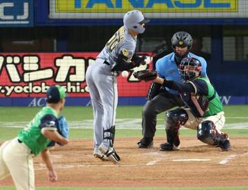 阪神 元山飛優への死球で異例の光景 ぶつけたヤクルト・山野が打席付近へ歩み寄って謝罪→元山も体をポンポン 大学同級生＆ヤクルト同期入団の関係