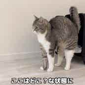 名作アニメ140作品以上が無料配信 Youtubeが11 26 28 アニメウィークエンドを開催 モデルプレス 名作アニメ140作品以上が無料配信 Youtubeが11 26 28 アニメウィークエンドを開催 モデルプレス