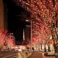 冬の風物詩となった樹氷の並木道/観賞する人々の心を暖める、赤や電球色の暖色系のイルミネーション“CANDLE&RED”/画像提供:森ビル