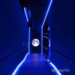 アメリカ館(C)モデルプレス