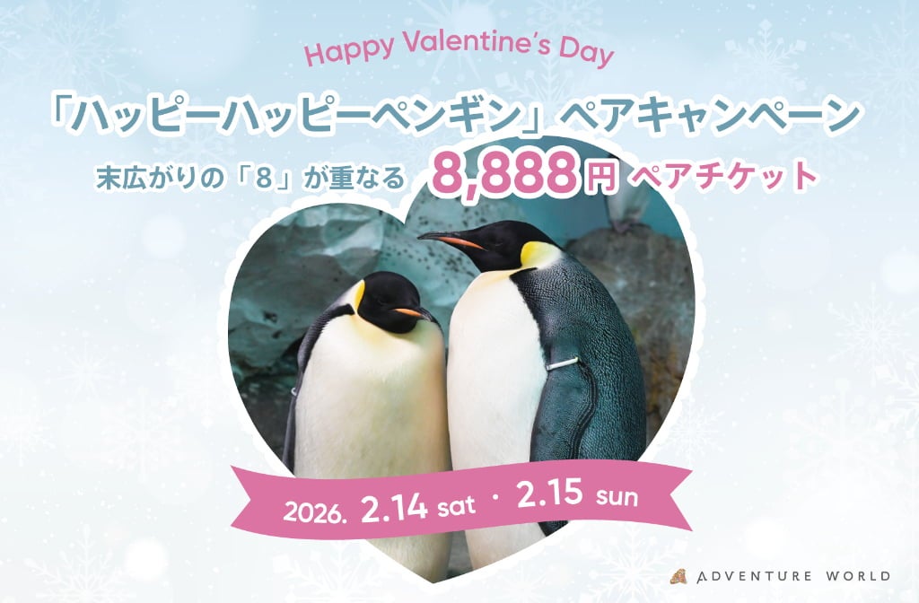 【和歌山】ペンギンから夫婦円満の秘訣が学べる!? バレンタイン限定でアドベンチャーワールドのペア入園がお得に♡