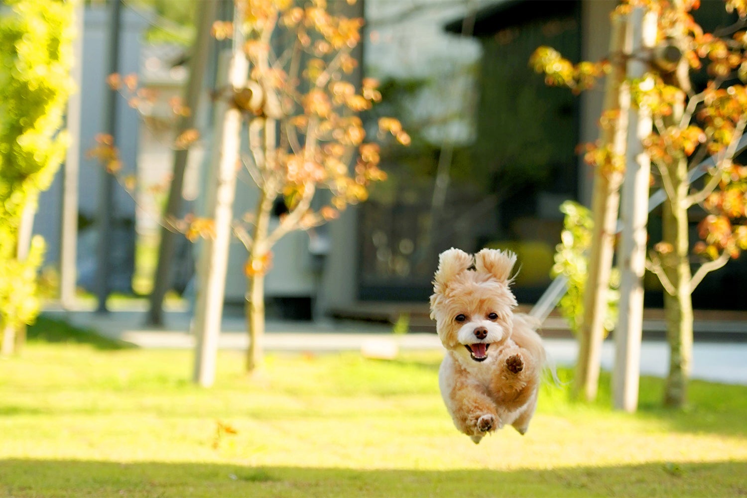 別邸四季／提供画像