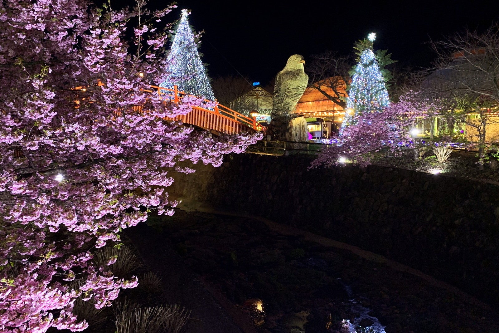 Spring Festival 2026／提供画像