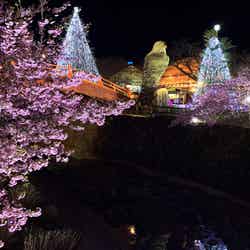 Spring Festival 2026/提供画像