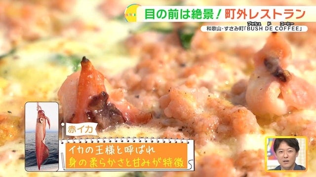 目の前には海！和歌山でみつけた「町外れレストラン」