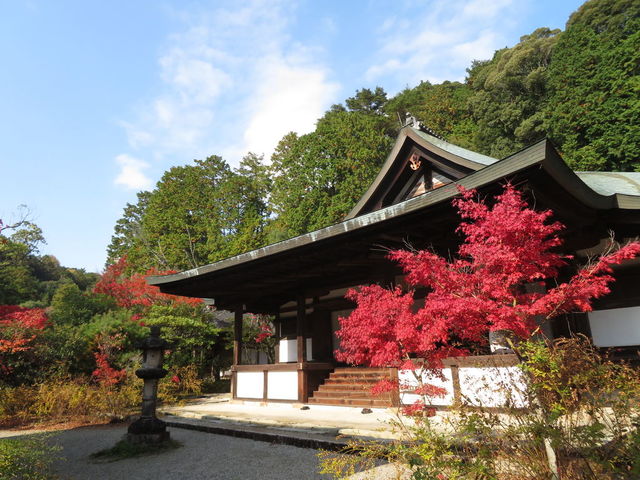 美しい庭園に一目惚れ…！地元の人が教える奈良の「紅葉スポット」