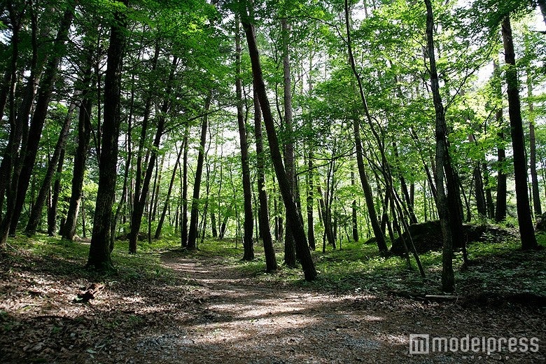 会場イメージ／画像提供：ゾンビハザード2016実行委員会