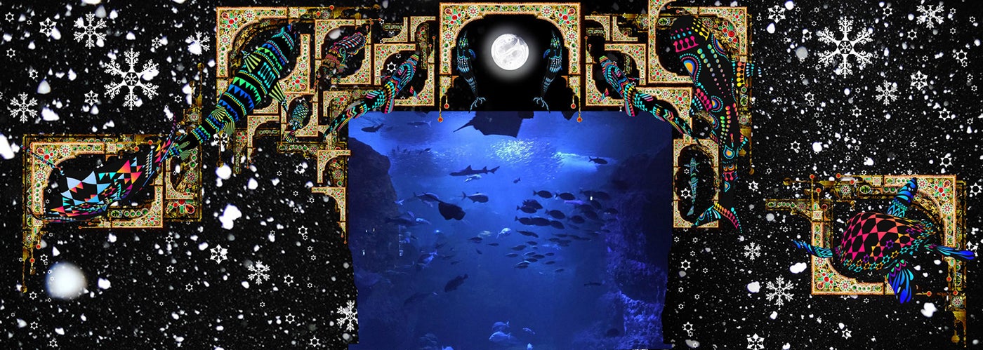 そして、あなたは魚になる PART-3（ナイトワンダーアクアリウム2016～月光に漂う水族館～）／画像提供：新江ノ島水族館