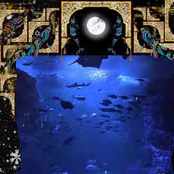 そして、あなたは魚になる PART-3(ナイトワンダーアクアリウム2016~月光に漂う水族館~)/画像提供:新江ノ島水族館