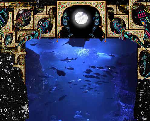 ロマンティックな聖夜の海を表現、新江ノ島水族館「ナイトワンダーアクアリウム」がXmas仕様に