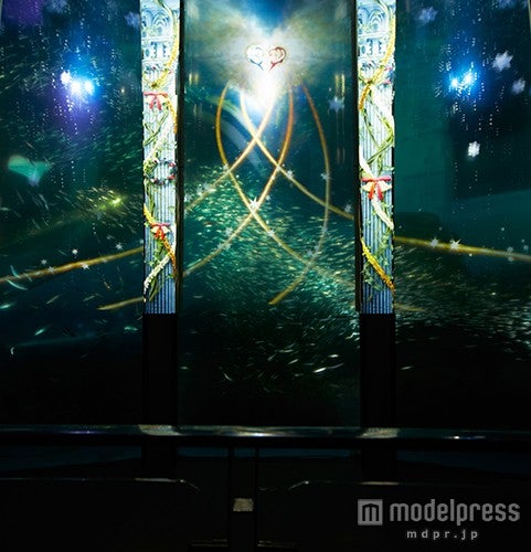 プロジェクションマッピングと5万尾のイワシが融合！スーパーイワシナイトイリュージョン