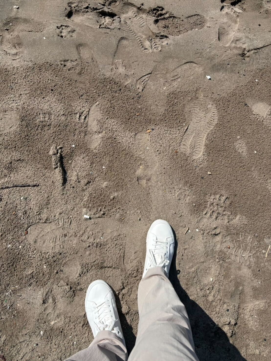 古敷谷宗「海のはじまり」（提供写真）