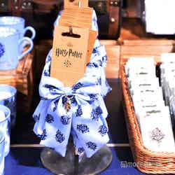 炎のゴブレット/ワーナー ブラザース スタジオツアー東京 – メイキング・オブ・ハリー・ポッター(C)モデルプレス