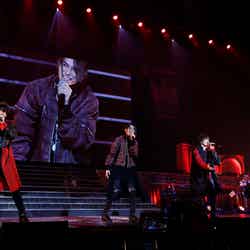 15th Anniversary SUPER HANDSOME LIVE「JUMP↑ with YOU」より／写真提供：アミューズ