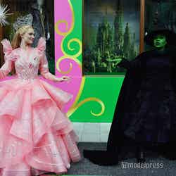 ウィキッド ~オズの魔女たち~(C)モデルプレス