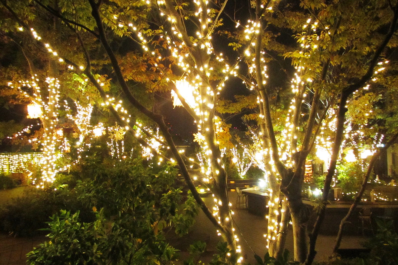 OMOHARA Christmas illumination／画像提供：東急不動産SCマネジメント