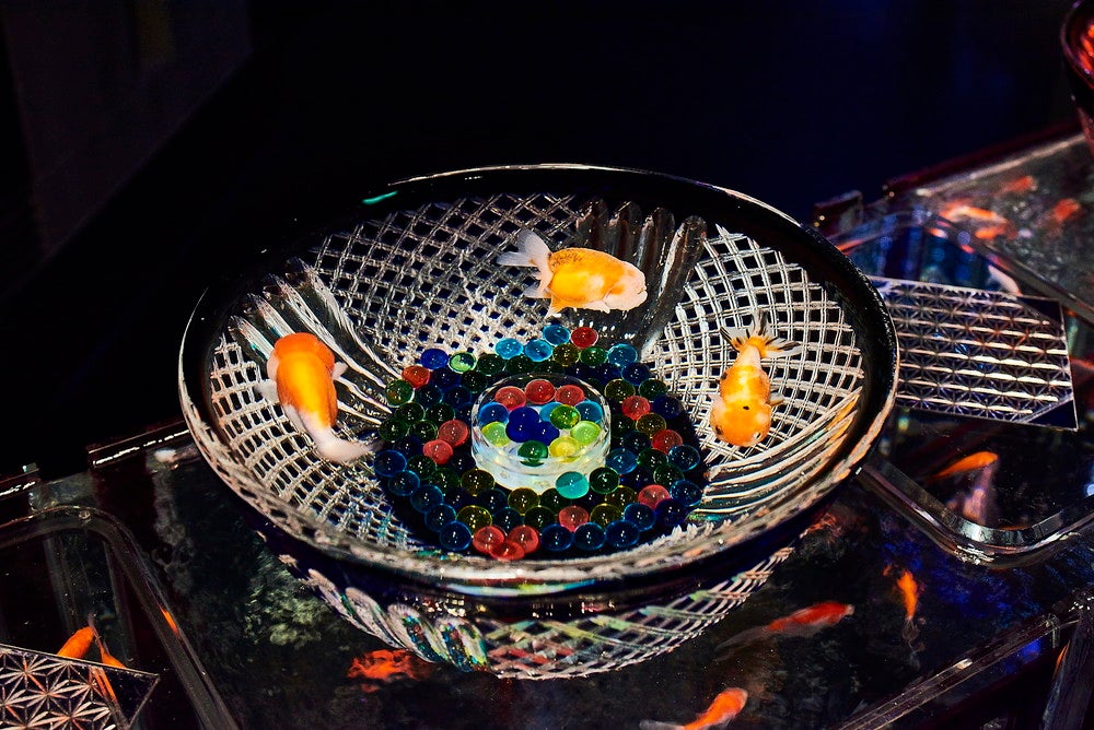 キリコリウム／画像提供：アートアクアリウム展大阪実行委員会