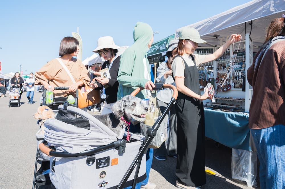 「神戸三田プレミアム・アウトレット」で「ペット防災」も学べて遊べる“週末ドッグフェス”を初開催！