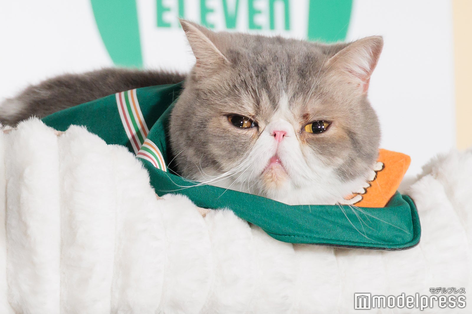 ポセイドンくん（C）モデルプレス