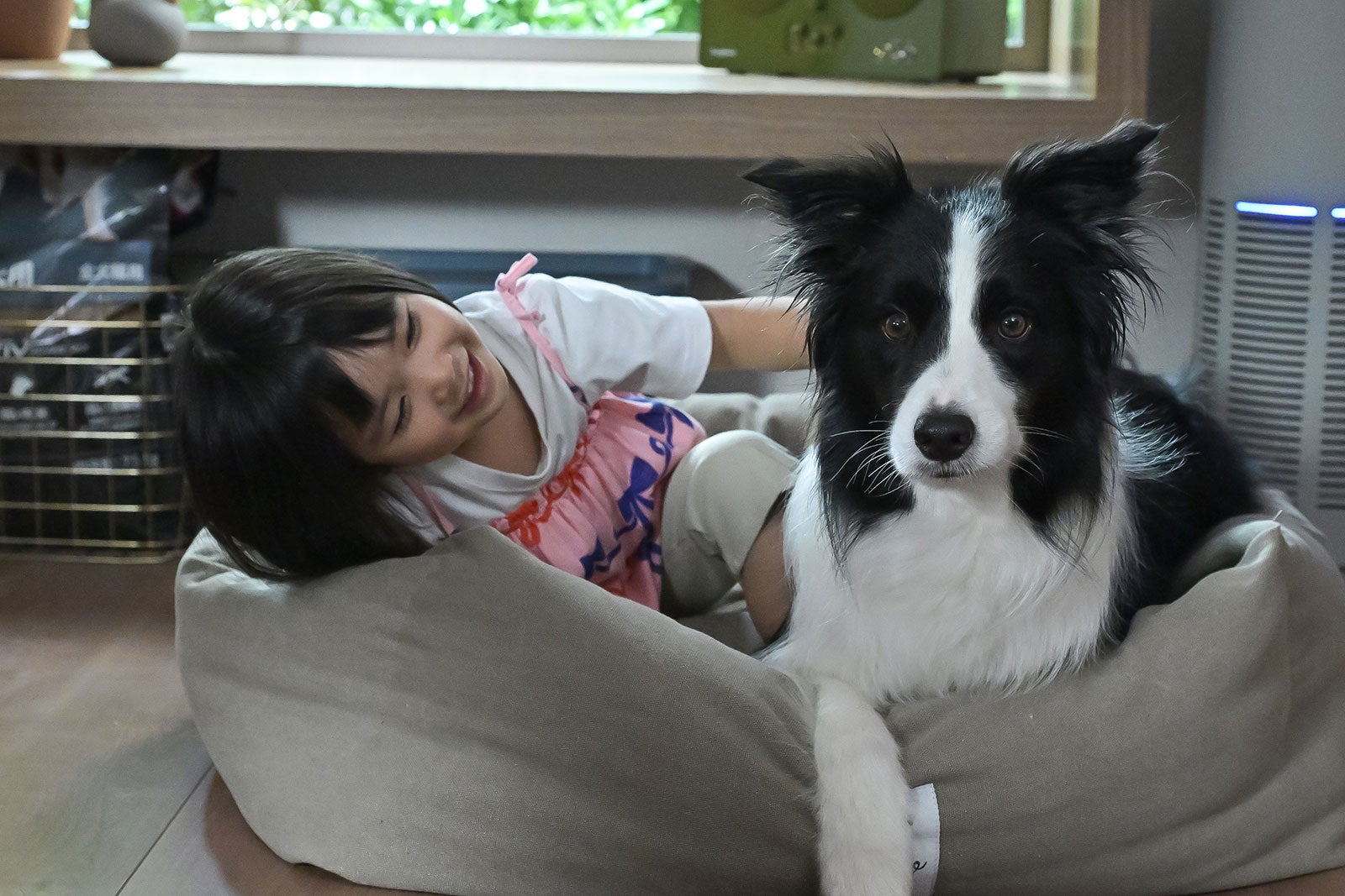 倉田瑛茉「西園寺さんは家事をしない」第1話より（C）TBS