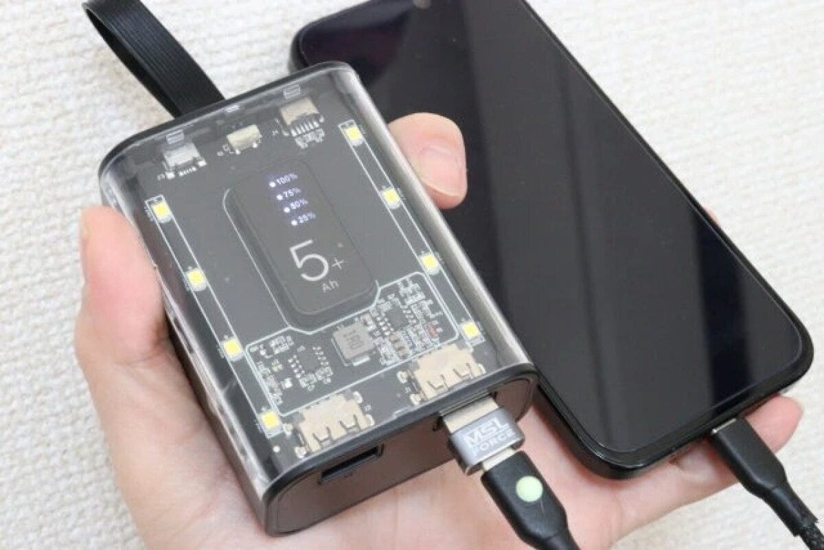 ダイソー　スケルトンデザイン