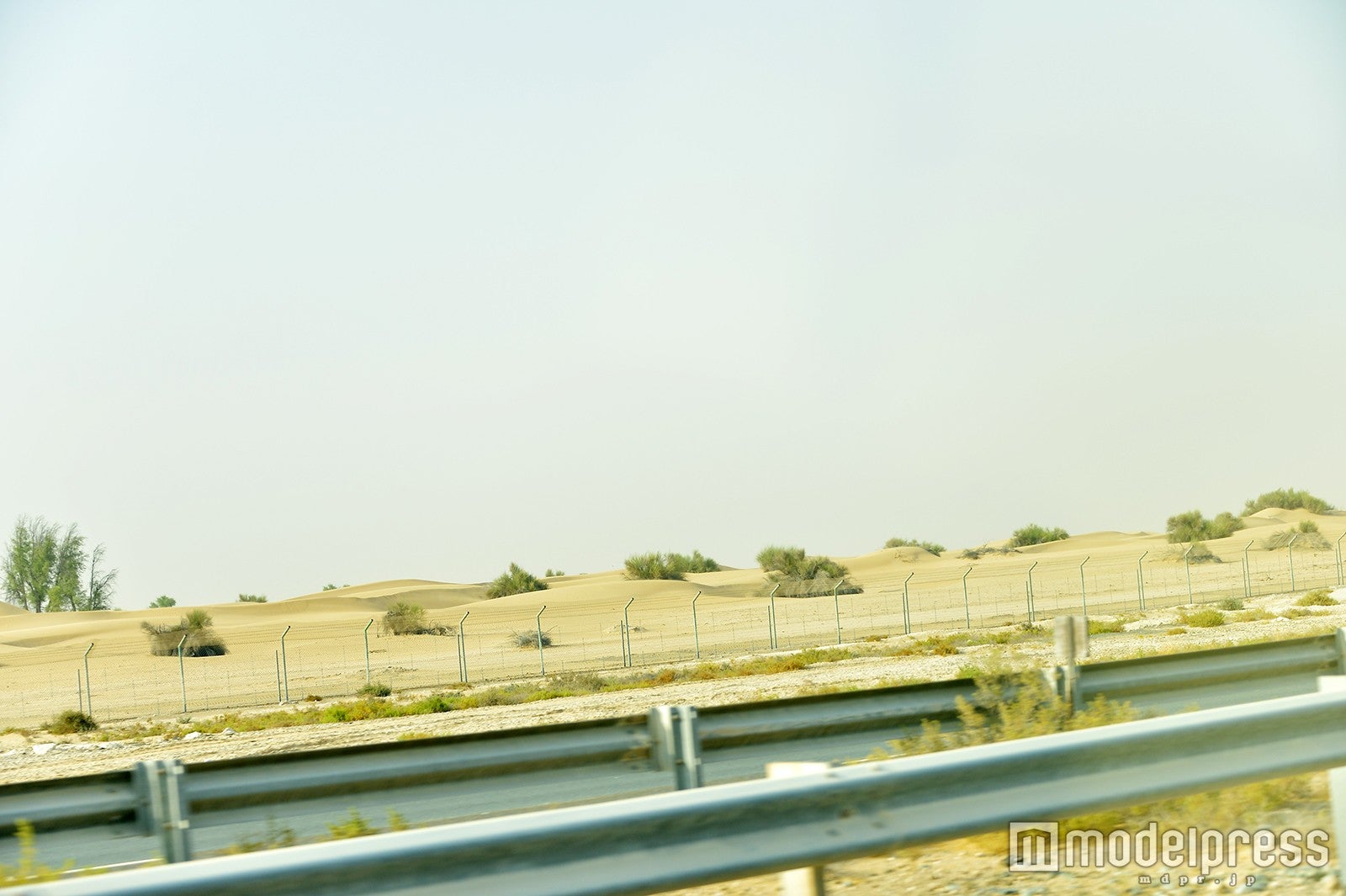 広大な砂漠地帯へ（C）モデルプレス