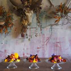 独創的なスイーツが楽しめる秘密基地植物園とカフェバー(提供元:秘密基地植物園とカフェバー)