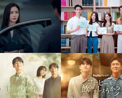 【2月配信韓国ドラマ】Netflix・Hulu・U-NEXT・dTVまとめ