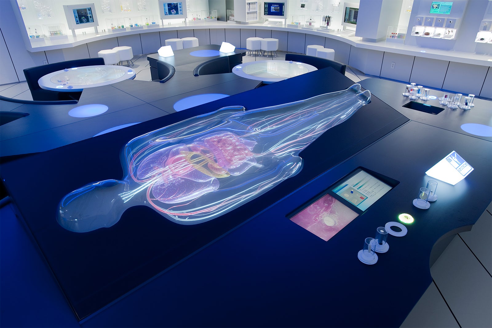 人体模型／画像提供：第一三共株式会社