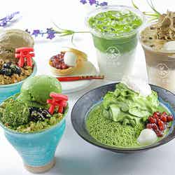 京都タワーにお茶の甘味処「三都茶寮」濃い抹茶ラテや抹茶エスプーマかき氷など