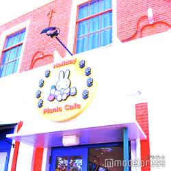 ホリデー・ピクニックカフェ/ミッフィー・ワンダースクエア(C)モデルプレス