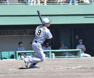 阪神 ドラ1の立石が離脱後初の実戦守備 バットでも安打を放ち「雰囲気持っとるよ」と平田2軍監督激賞 自打球で交代のドラ2谷端は「大事に至らなくてよかった」【一問一答】