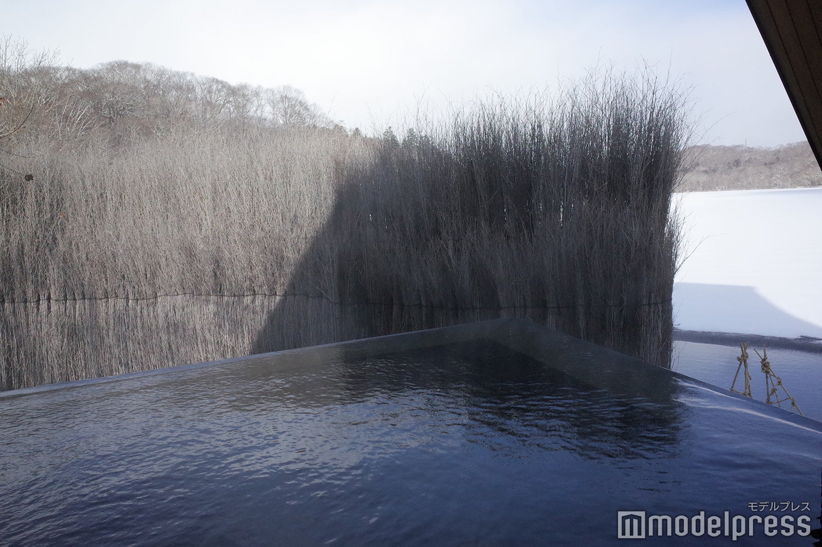 界 ポロト（C）モデルプレス