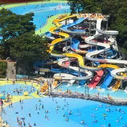 西武園ゆうえんちのプール/画像提供:西武レクリエーション