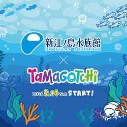 たまごっち×新江ノ島水族館