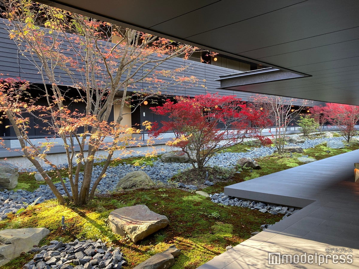 ふふ 日光（C）モデルプレス