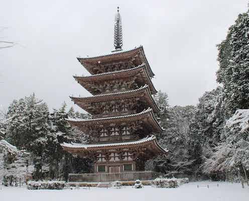 普段は見られない「冬の京都」が楽しめる特別イベントがすごい…♡