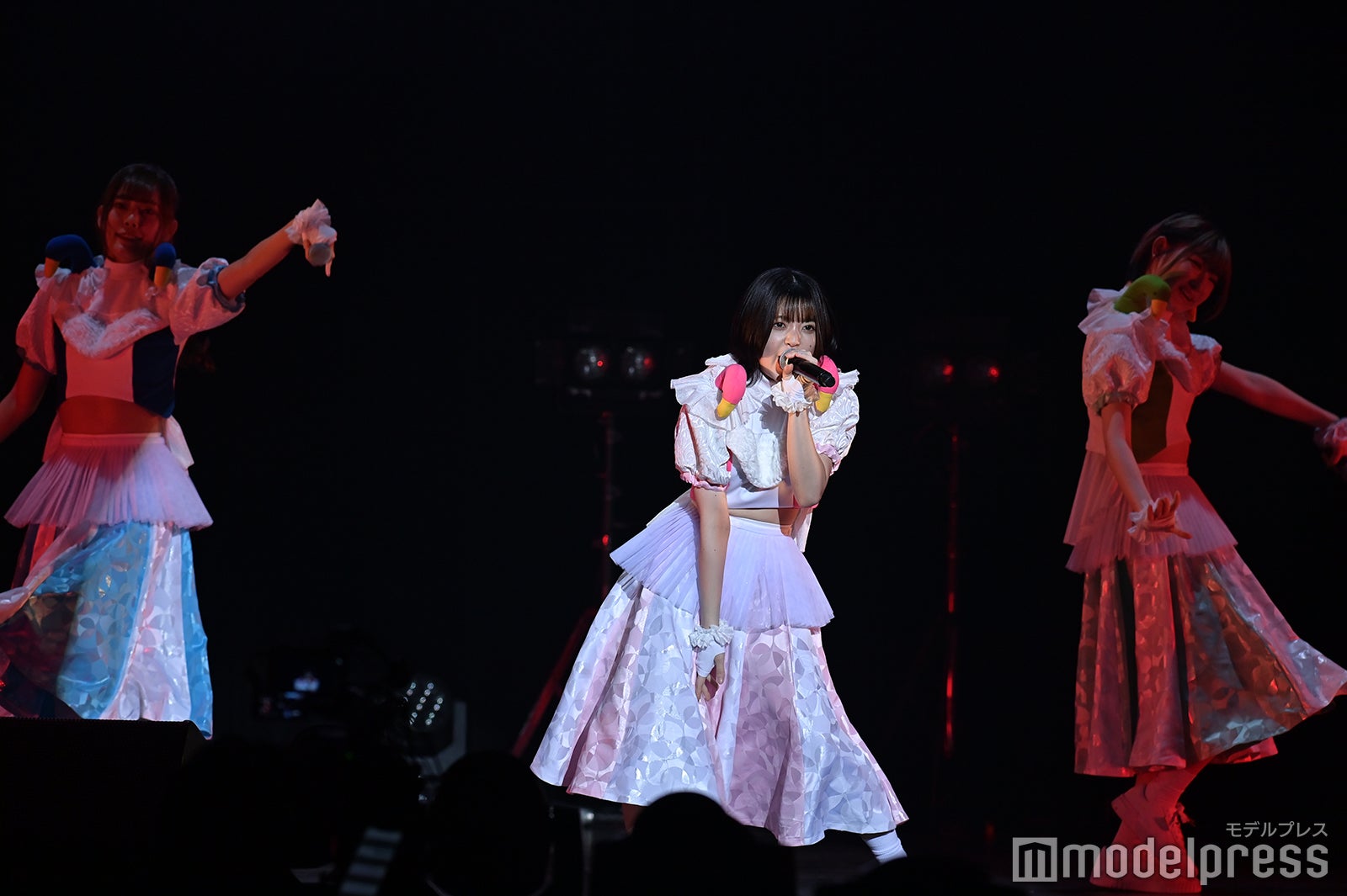 豆柴の大群（C）モデルプレス