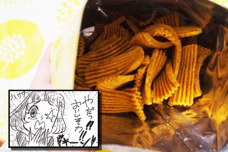 肉厚チップスリッチ フォアグラトリュフステーキ味