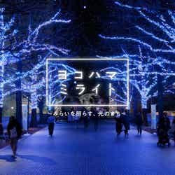 ヨコハマミライト(提供写真)