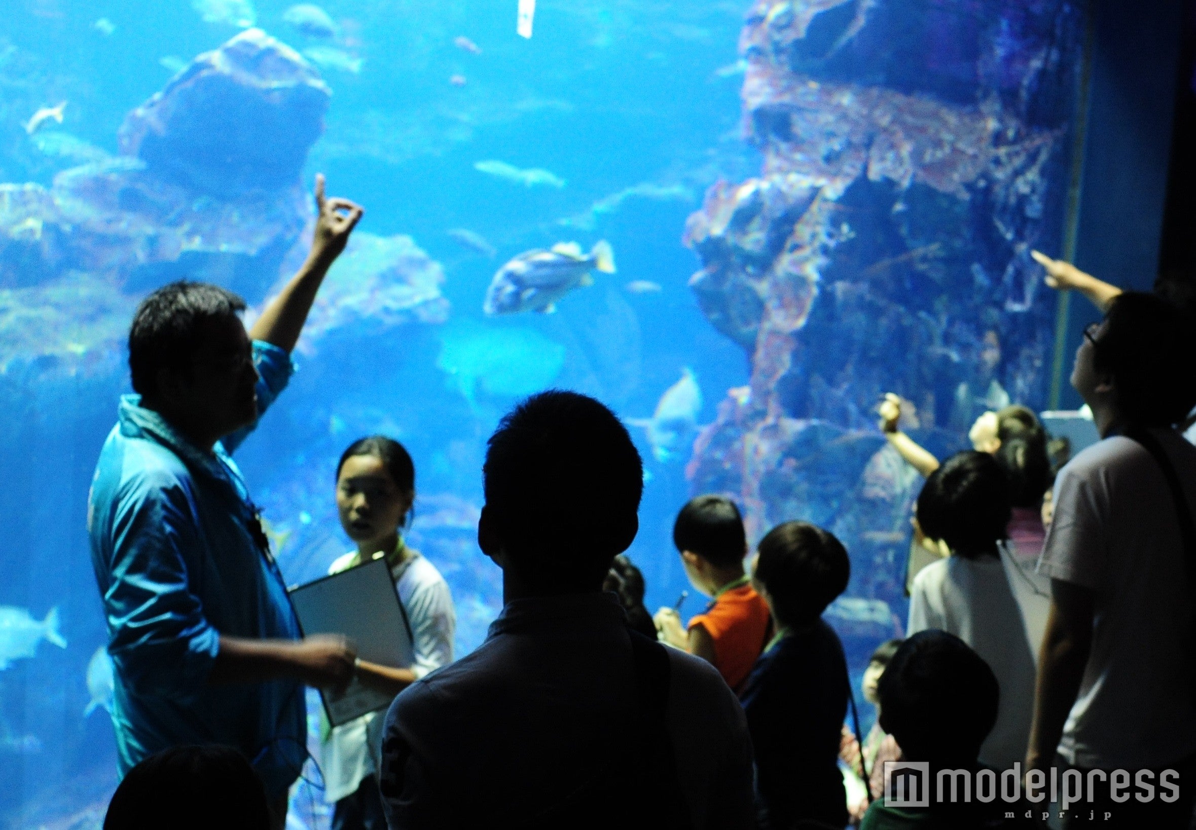 館長の解説ツアー「夜のいきものってナンダ？」／画像提供：京都水族館