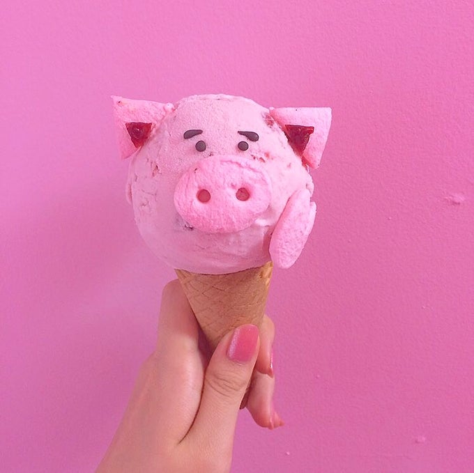 原宿電気商会／画像提供：どうぶつえん