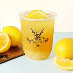 はちみつ檸檬グリンティー/画像提供:ポトマック