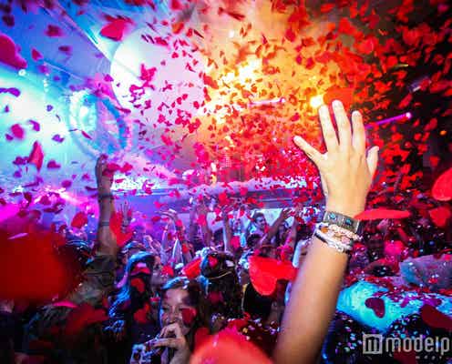 世界最高峰のイビサ人気クラブ「PACHA」の音楽フェス日本上陸