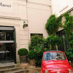 merci/画像提供:所属事務所