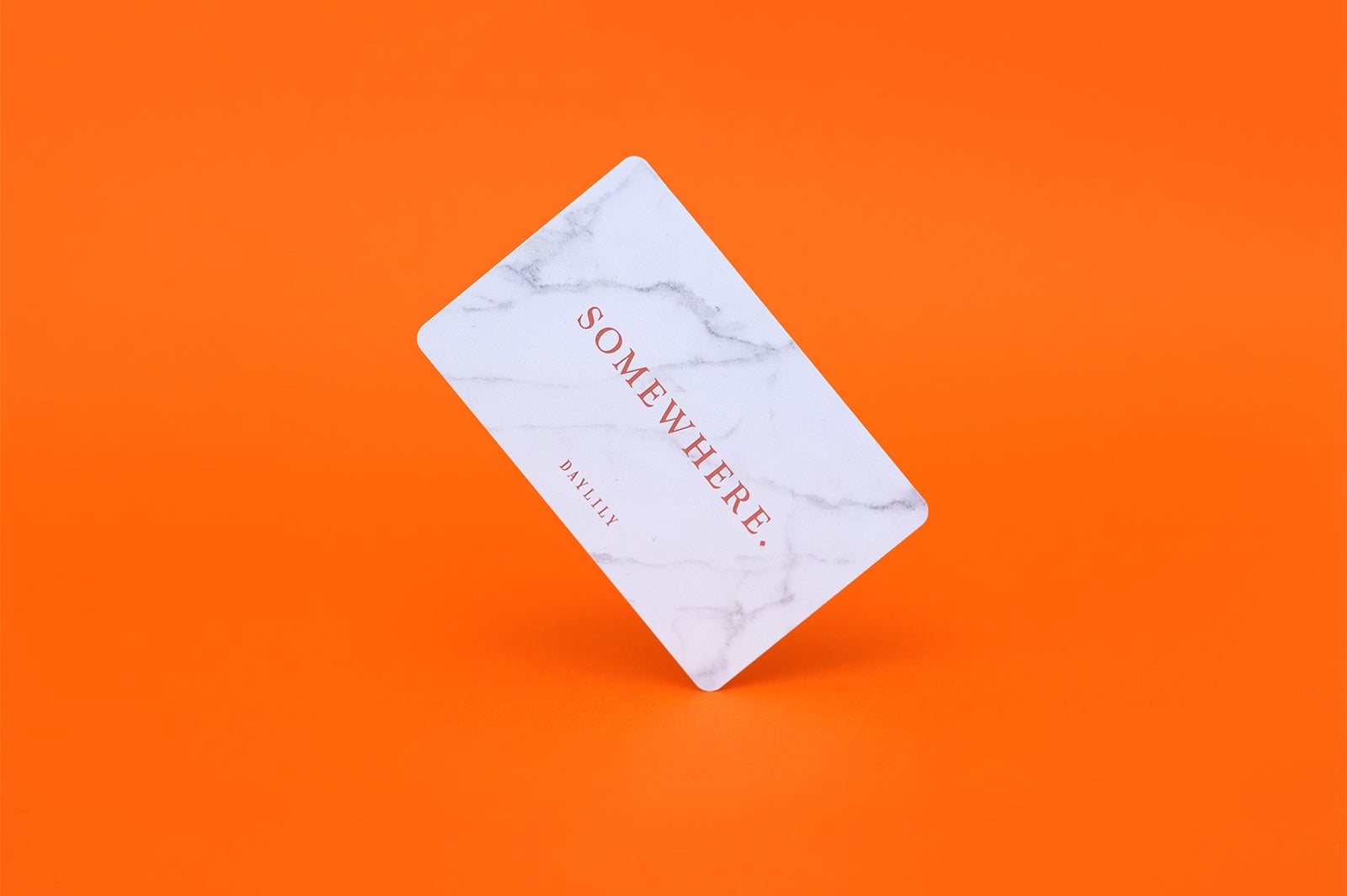 DAYLILY／画像提供：寸草股份有限公司