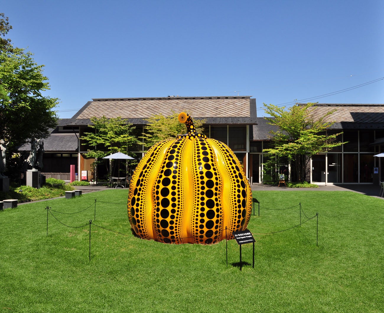 《大いなる巨大な南瓜》2012年時の展示風景より（C）YAYOI KUSAMA