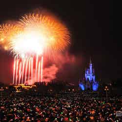 ディズニー、人気の年越し特別営業を今年も開催／TDLの様子（C）Disney