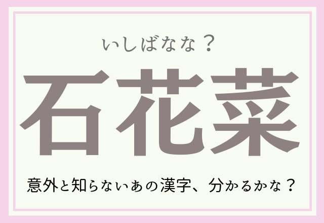 石花菜 いしばなな よく食べてるものだけど意外と知らないあの漢字 モデルプレス