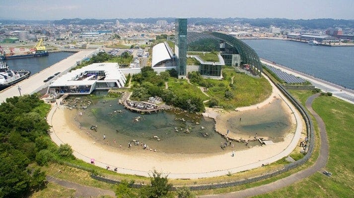 屋外の「蛇の目ビーチ」は世界最大級のタッチプール。磯や浜などの海の自然を再現しています